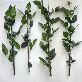 永生花;鲜花花艺制品;中国结