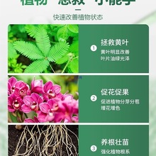 ͥ@ˇϠIBIBҺҬu@ˇǷۏͺϷ