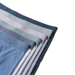 Men's Modal Underwear Invisible Ultra-Thin Breathable Straight Leg Pants Youth Four-Corner Pants