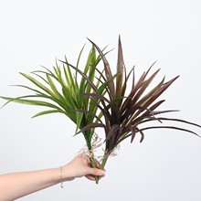 ˮ�ɲݷ���Gֲˮ����ߙn�쾰�ز�՚��~����ļҾ������b�ֲ��