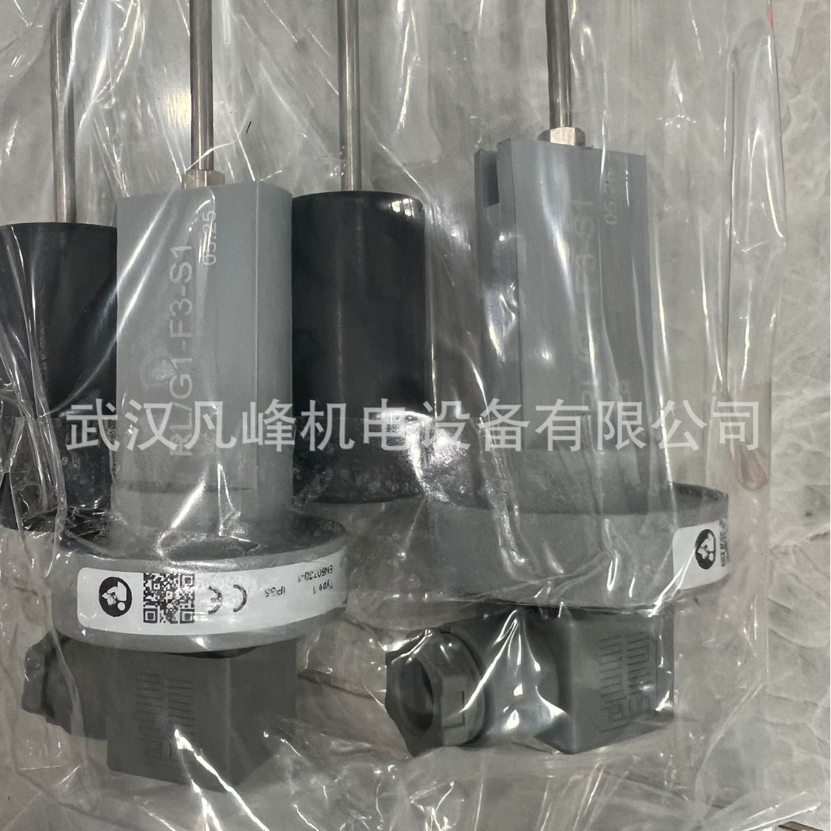 供应 意大利 F.LLI GIACOMELLO液位开关 等全系列RL/G1-F3-S1-