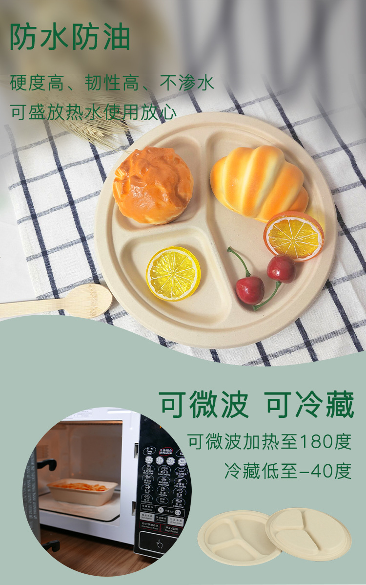 3格9寸盘子详情_06