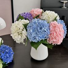 ����ٻ� ���򻨽�����Y�þƵ�Ҿ��b� �[��������滨�S�����l