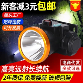 头灯头戴电筒;手电筒;LED球泡灯