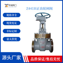 Z441H正齿轮闸阀 楔式弹性闸板法兰 保质一年