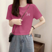 2026�紺�ļ��¿�����̿����T��ŮС���OӋ��ݮɫ�@���w������