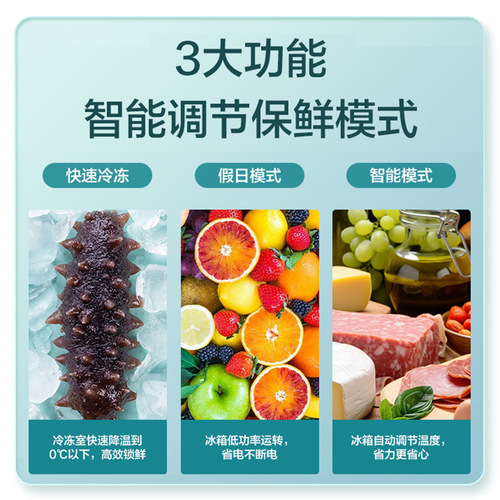 Galanz refrigerator 250 liter capacity double-door air-cooled frost-free household refrigerated freezer BCD-250WE