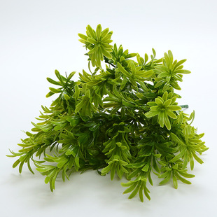 ֲٻGֲbϼٲݷֲ廨G~