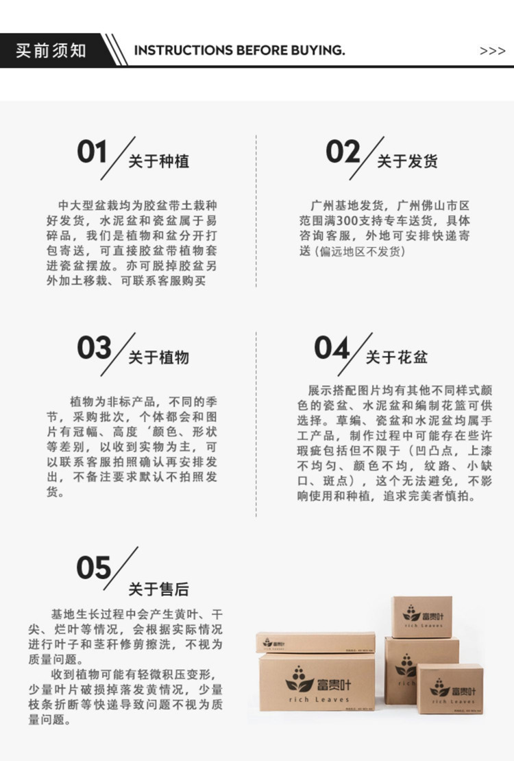 详情图