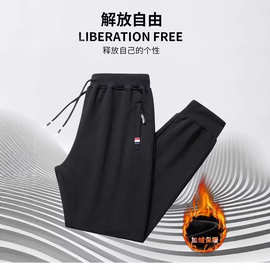 休闲裤百搭休闲裤男宽松直筒2024潮男束脚裤子ins港风潮男裤