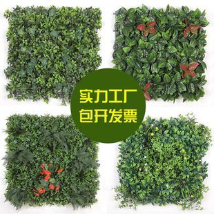 �羳���N ����ֲ�����Gֲ��UV�߶�ֲ�ﱳ�����Gֲ�������ƺ