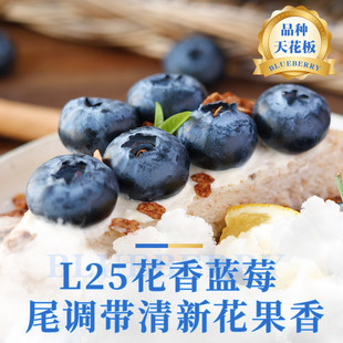 �����{ݮ�r�����rˮ���߶ˮ������xL25�����{ݮ���l���l��Ʒ�{ݮ