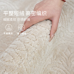 珪藻繊維カーペットリビングルーム 2025 新しい防水防汚洗える拭き取り可能な寝室のソファフロアマットライト高級ハイエンド