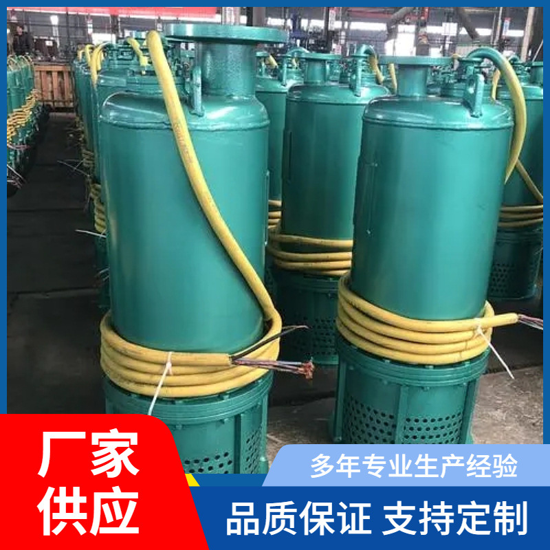 供应矿用防爆潜水泵防爆立式潜水泵BQS系列防爆潜水泵