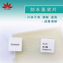 ��ˮ���bƬ �@΢�R�̌W����^�����x�������Ƭ��Ƭ ��Ӣ�Ŀ��x