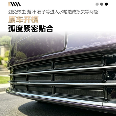 front grille, decorative protective net against – Automobile anti-insect net