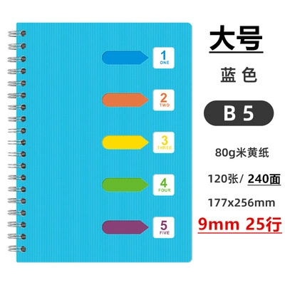 Spiral Sectioned Student Notebook, Korean Style, A5/B5 with Colored Tab Dividers