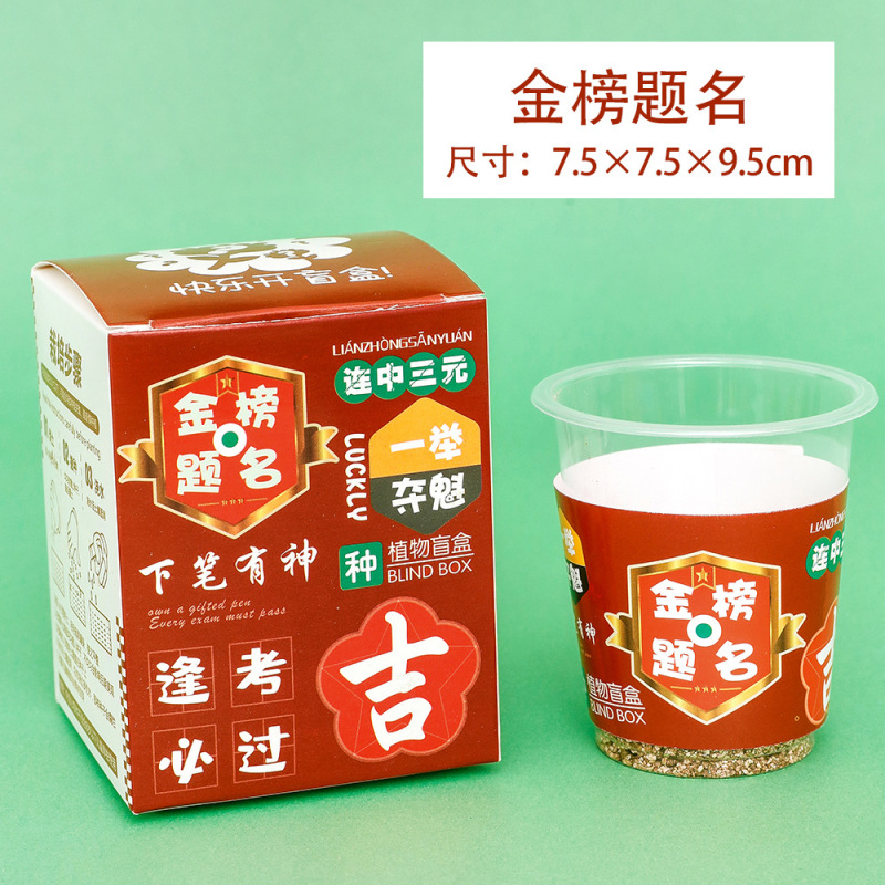 子供用植栽ミニプランター、学生用プラスチック賞品、卓上グリーン、ブラインドボックス、幼稚園ギフト、クリエイティブな小さな贈り物|undefined