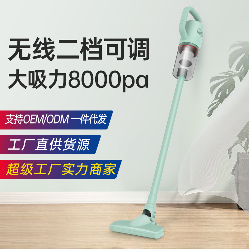 Vacuum cleaner for home use