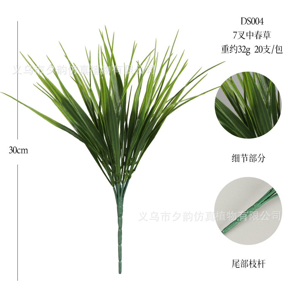 DS004-연두색 7갈래 중봄풀