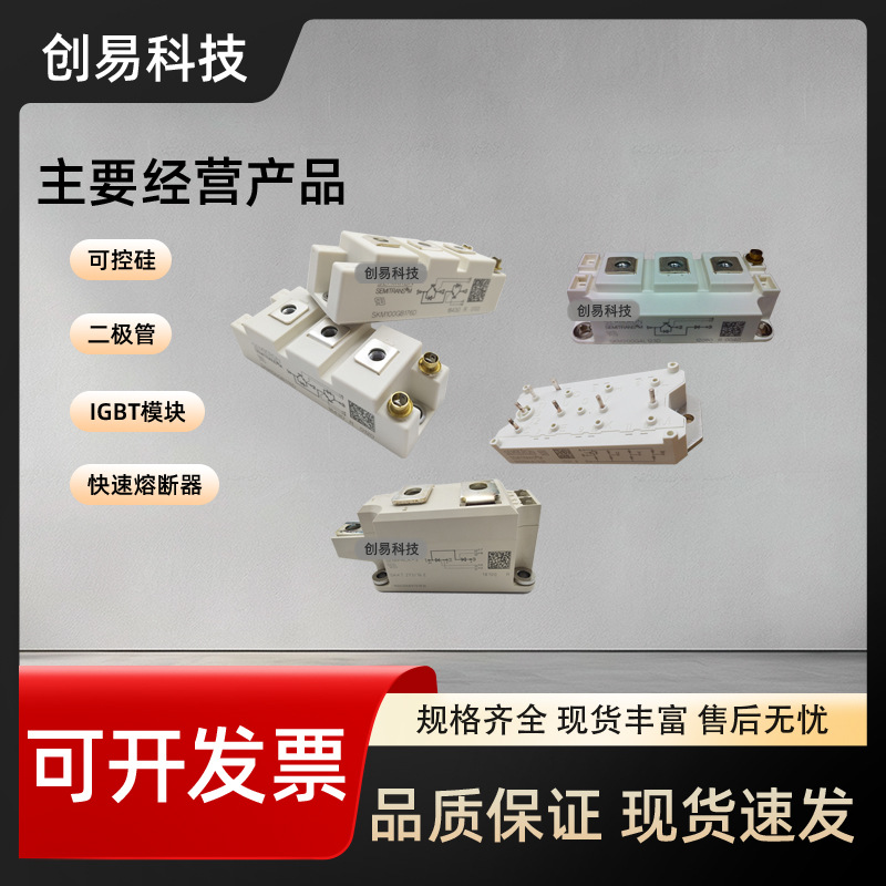 SKKH172/08E SKKH172/12E SKKH172/14E SKKH172/16E SKKH172/18E