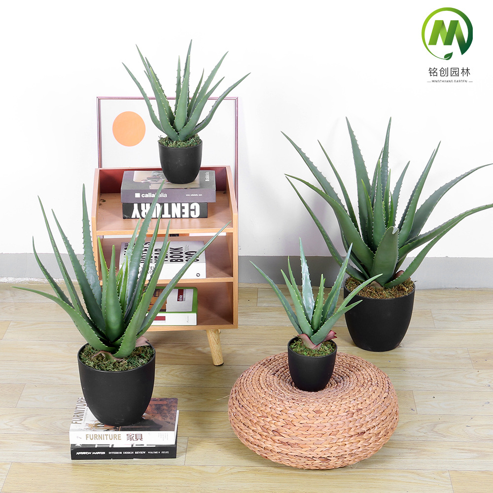 Decoración del hogar suculentas plantas en macetas simulación suave aloe vera bonsai alta simulación suculentas plantas verdes falsas en macetas image 3