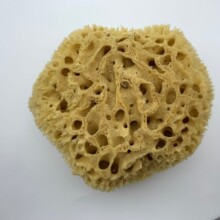 ϣ�D��Ȼ���dˇ�g�T����ɫ�������ӡ�������L������