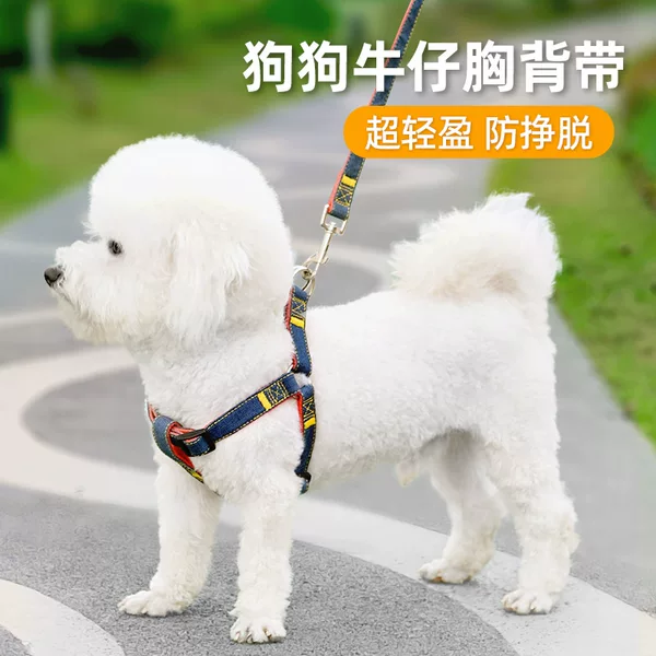 Dog Leash Neck Ring Small Medium and Large Puppy Pet Teddy Beaumi Bear Golden Hair Chest Strap Dog Walking Chain