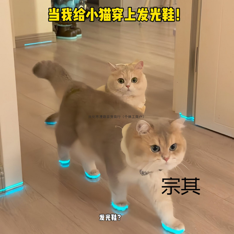 Cat Light-Up Shoes, Pet Dog Shoes, Whistle, Glow-In-The-Dark Children's Toys, Night Photography Accessories, Cat Grooming Accessories Cat Light-Up Shoes, Pet Dog Shoes, Whistle, Glow-In-The-Dark Children's Toys, Night Photography Accessories, Cat Grooming Accessories