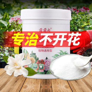 �@ˇ���၆�F�����ջ����S�~��ͨ�����a�F�~��ʾGֲ����ͥ������