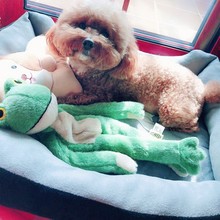 AFP狗狗玩具耐咬磨牙发声金毛逗狗神器大狗法斗泰迪宠物解闷有趣