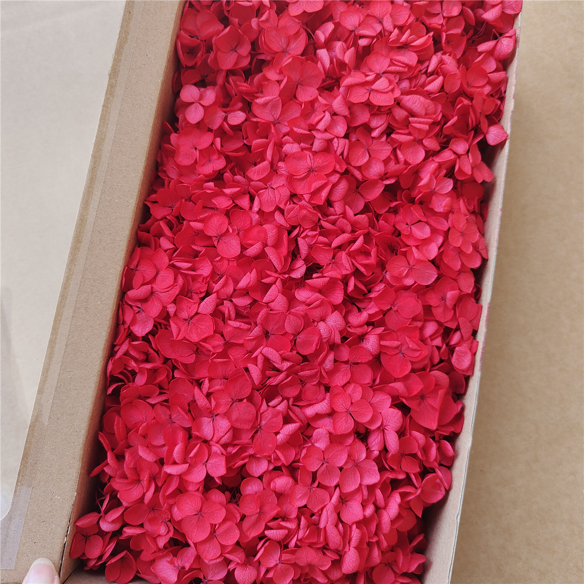 Flor eterna Hortensia Anna pequeña hoja flor seca flor real árbol de Navidad ventilador hecho a mano ramo DIY material paquete flor