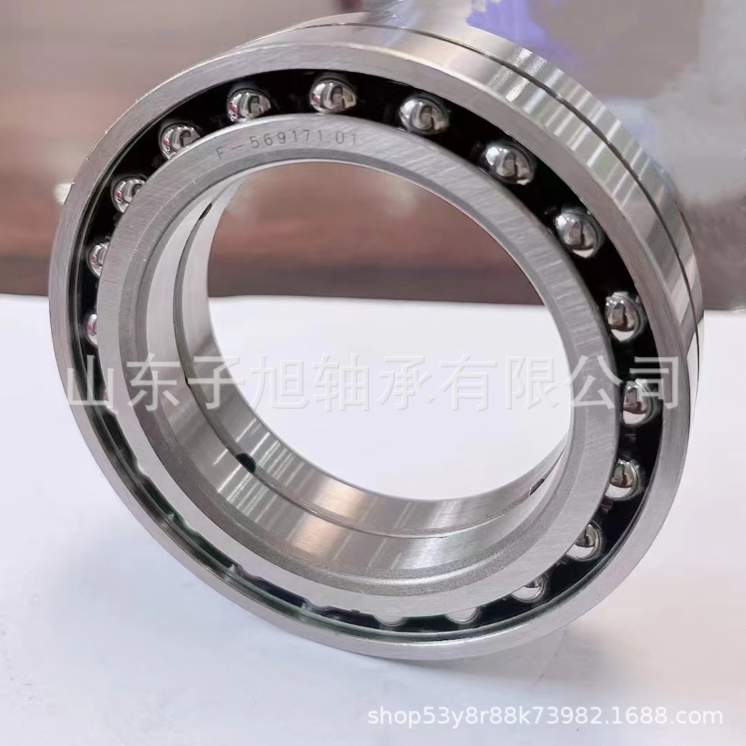 F-569171.01汽车变速箱轴承 轴承厂家批发零售  深沟球轴承