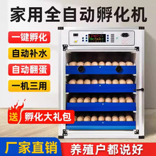 孵化器中小型家用孵化机芦丁鸡小鸡机械全自动孵蛋器智能孵化箱