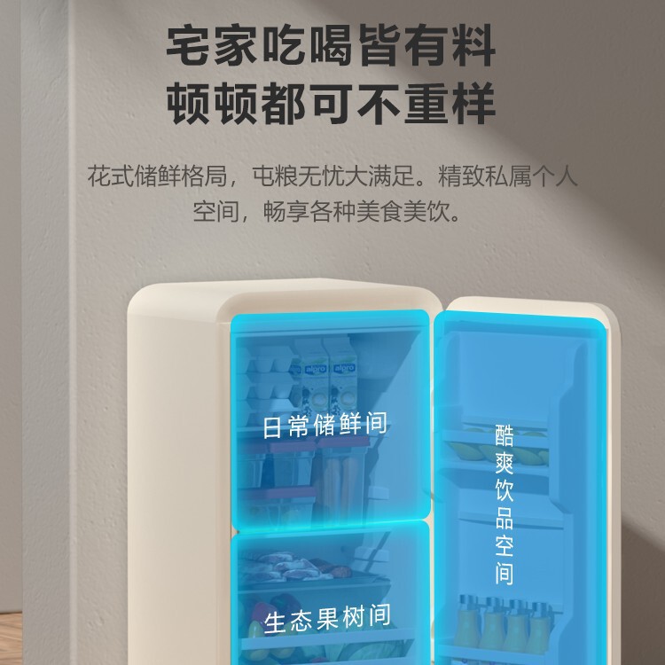 志高冰箱复古家用厨房迷用宿舍用冰箱家用小冰箱小型冷冻冰箱其他|undefined