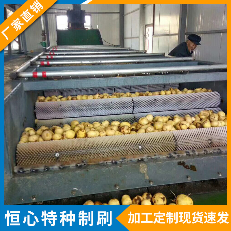 清洗刷辊 蔬菜水果运输去皮抛光打蜡清洗机毛刷辊厂家