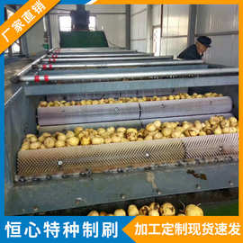 清洗刷辊 蔬菜水果运输去皮抛光打蜡清洗机毛刷辊厂家