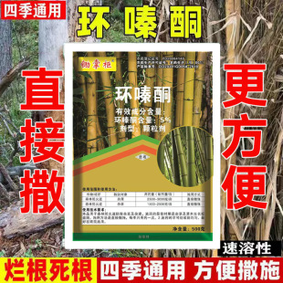 �h�ͪ�L�������ݠ���������������䌣��ș��Ʒ���䠀�������݄�