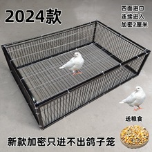 ����\����������ֻ�M�������ӻ\��jײ�T�����Ԅ��T�M��������