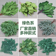 �Gɫ���滨ɭϵ��픾Gֲ�~�ӻ�c�������~��ˇ�b��߼ٻ��J����