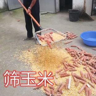 Shovel Sieve Grain Net Shovel Agricultural Sieve Soil Corn Peanut Filter Sieve Plastic
