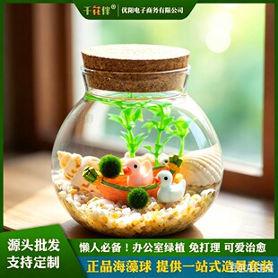 ������΢���^���Bƿ������Ů�����|����Ϧ���I�����S�ƿ����Y��