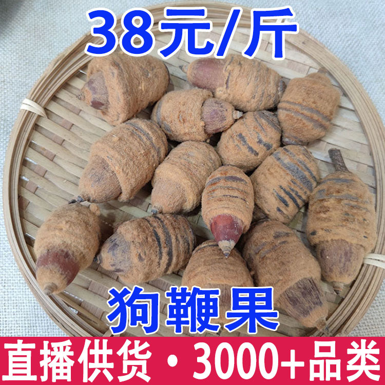 狗鞭果 猪仔粒泡酒料 干货 毛毛大果 锁阳果批发代发