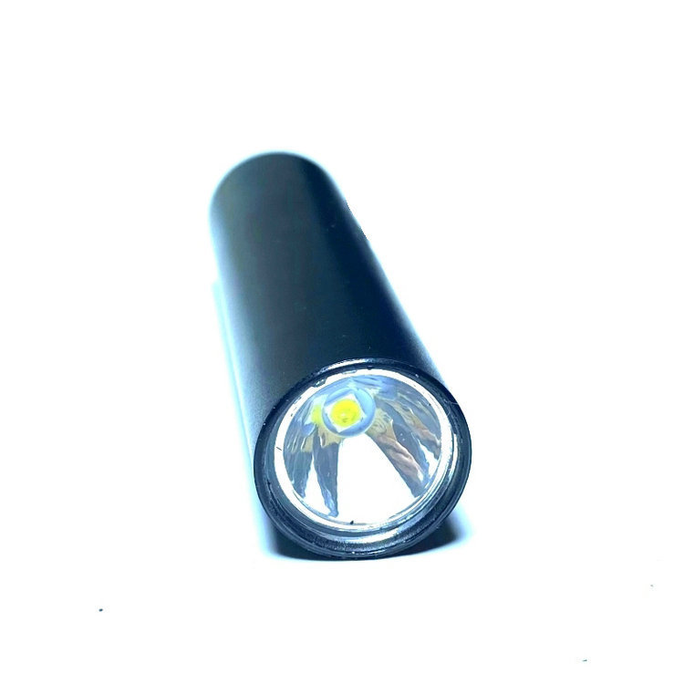 Reprehenderit qui in ea