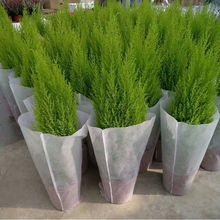 ���������}�Q���ļ����G�Gֲ��ڰ��^�~ֲ���ͺ�����k���҃Ⱥ��B