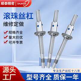 南京源头厂家滚珠丝杠精密研磨单双螺母维修重载机床滚珠丝杆