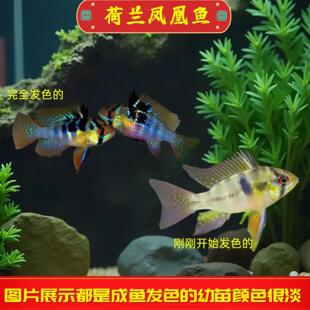 ���m�P���~�{���Ӱ����_�����~�����~�Ꭷ�^�p�~��ˮС���~���w