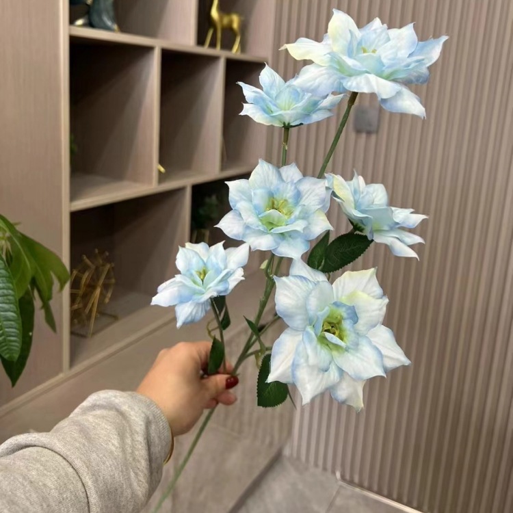 라이트 블루
