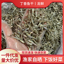 丁香鱼干海鲜干货银鱼干海燕鱼小鱼仔干凤尾面条鱼小咸鱼干货批发