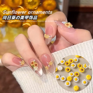 С�t���r�����տ������Ʒ���ջ�������̫ꖻ�ins��֬������b�